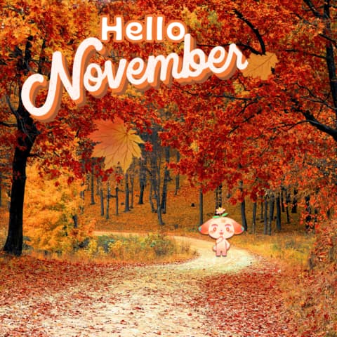 Hello November